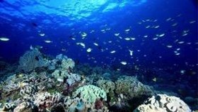 Spot-spot Diving Terbaik Indonesia Dipamerkan di Orlando