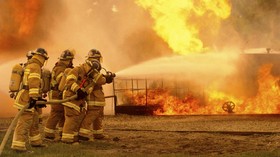 Kebun Binatang London Terbakar, Lima Hewan Hilang