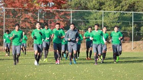 PSSI Bantah Tunjuk Wolfgang Pikal Latih Timnas Indonesia U-19