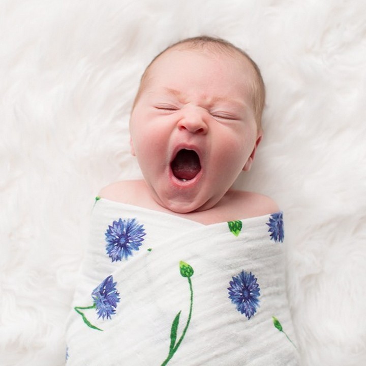 <p>Dengan pipinya yang gembil, ekspresi si bayi pas lagi nguap begini bikin gemas. (Foto: Instagram/ @kellinicolephoto)</p>