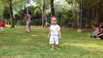 TAMAN RAMAH ANAK LAINNYA