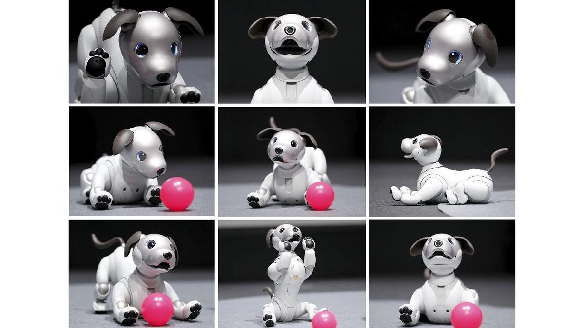 FOTO: Sony 'Lahirkan Kembali' Robot Anjing Aibo