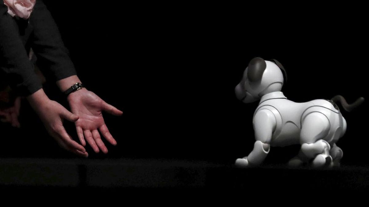FOTO: Sony 'Lahirkan Kembali' Robot Anjing Aibo