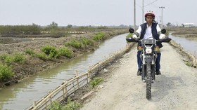 WALHI Ragu Target 600 Ribu ha Hutan Bakau Jokowi: Minim Implementasi