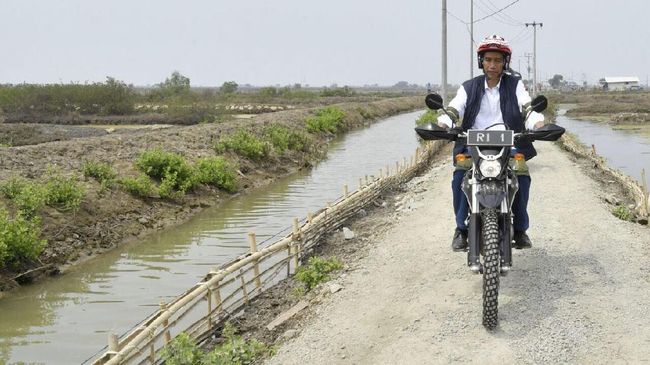 WALHI Ragu Target 600 Ribu ha Hutan Bakau Jokowi: Minim Implementasi Jokowi saat bertemu Joe Biden menyatakan dalam 3 tahun ke depan akan merestorasi 600 ribu hutan bakau atau terbesar di dunia untuk mengurangi emisi karbon.