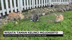 Wisata Taman Kelinci, Wahana Edukasi untuk Anak