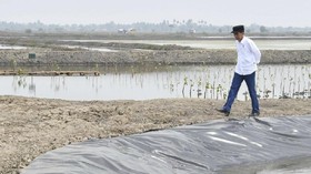 Rezim Jokowi Dinilai Takut Bongkar Panama dan Paradise Papers