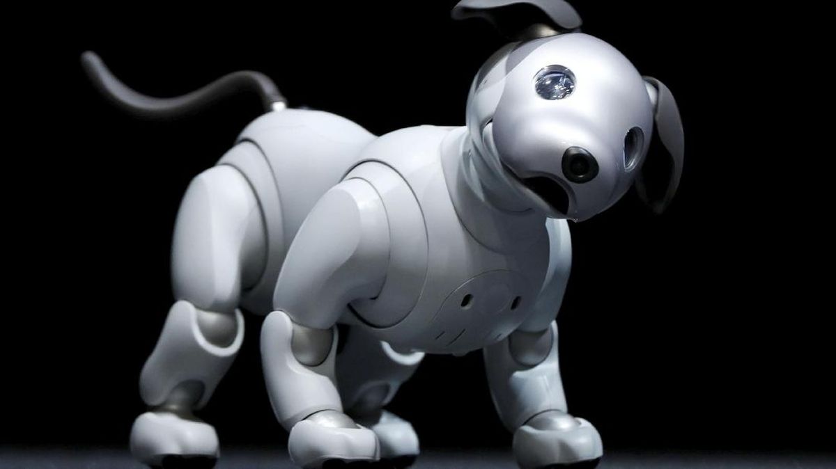 FOTO: Sony 'Lahirkan Kembali' Robot Anjing Aibo