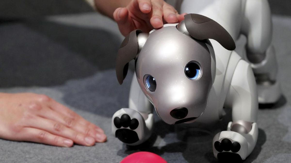 FOTO: Sony 'Lahirkan Kembali' Robot Anjing Aibo