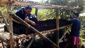 Mengubah Nasib Keluarga dengan Cara Sederhana