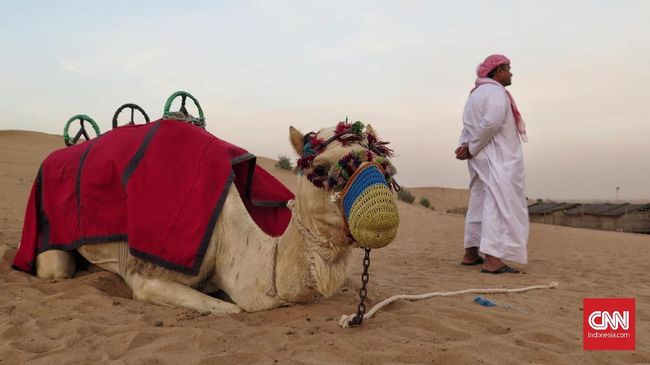 Dubai bisa menjadi destinasi wisata yang tepat bagi yang ingin merasakan suasana Ramadan di Tanah Arab.