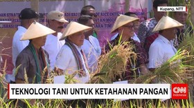 Potensi Lumbung Padi di Tengah Perubahan Iklim