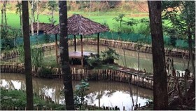 Dari Kopi Karetan GenPI Jateng sampai Kopi Sanger GenPI Aceh