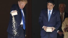 Netizen Protes Cara  Presiden Trump Beri Makan Ikan Koi