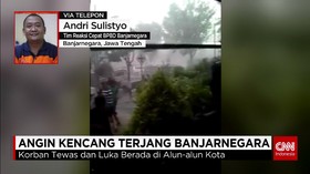 Hujan Lebat Disertai Angin Kencang, Akibatkan Pohon Tumbang