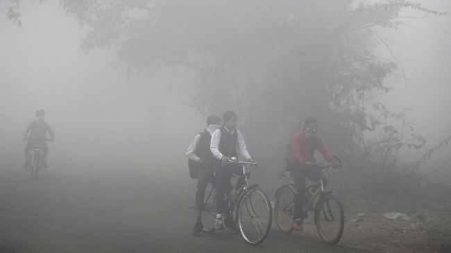 Riset: Polusi Udara Bunuh Lebih Banyak Orang Dibanding Corona