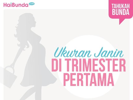 Ukuran dan Bentuk Calon Bayi di Trimester Pertama Kehamilan