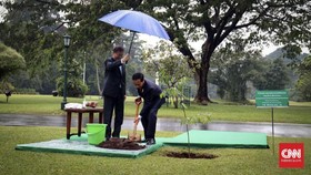 Diplomasi Payung Biru Jokowi-Presiden Korsel di Kota Hujan