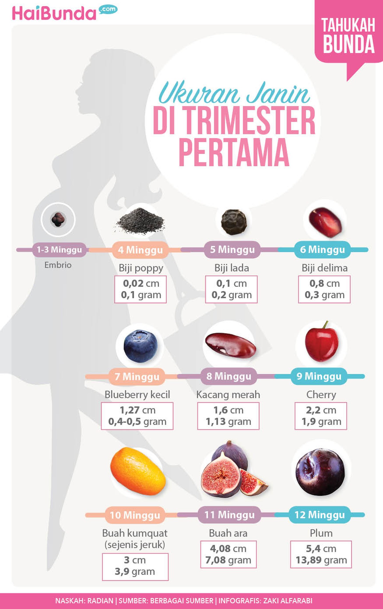 Ukuran dan Bentuk Calon Bayi di Trimester Pertama Kehamilan Penasaran kayak gimana sih ukuran dan bentuk calon bayi kita di trimester pertama kehamilan? Yuk, simak di infografis berikut ini.