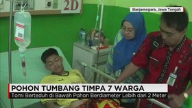 Korban Tertimpa Pohon Masih Dirawat