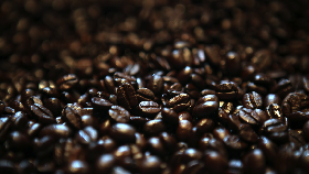 Coffee Festival Toba 2017 Siap Pikat Para Penikmat Kopi