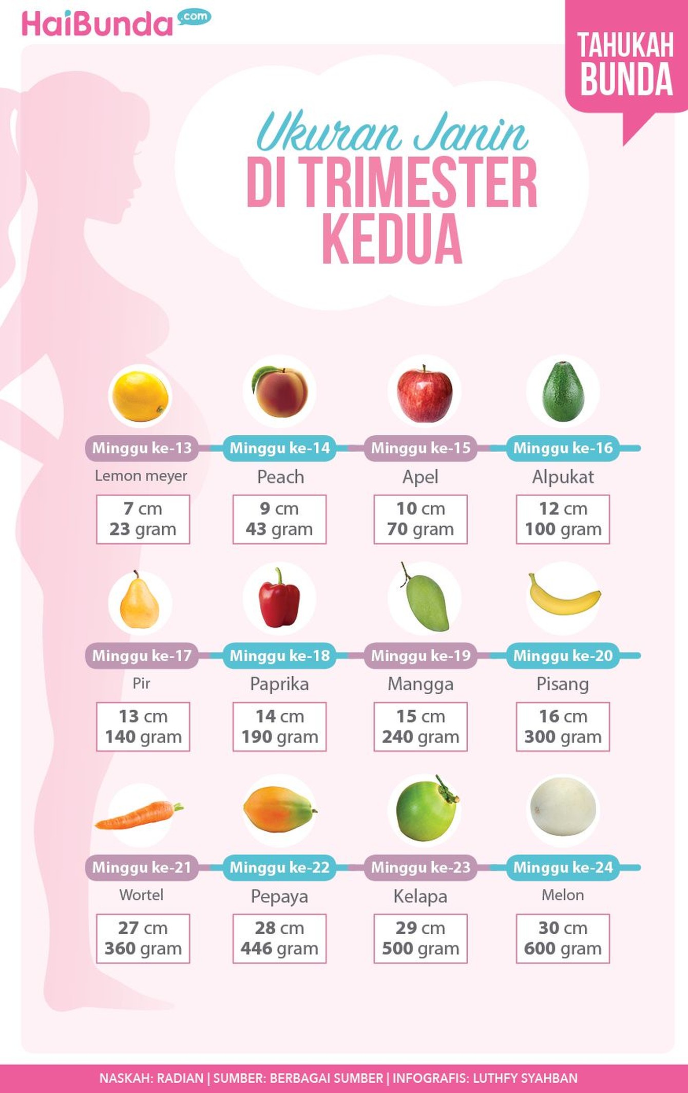 Memasuki trimester kedua kehamilan, seperti apa ya bentuk dan ukuran si calon bayi? Simak di infografis berikut ini yuk, Bun.