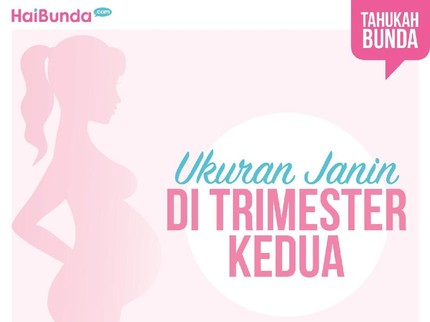Ukuran dan Bentuk Janin di Trimester Kedua Kehamilan