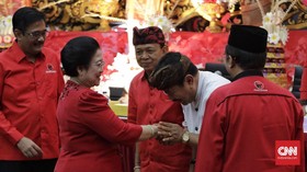 Megawati Pilih Wayan Koster karena Pernah Jadi Anggota DPR