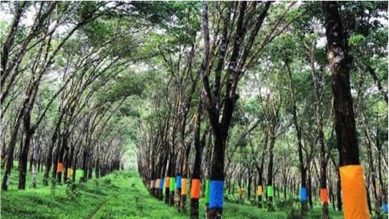 Kreativitas itu berbatas langit!, nyaris tidak ada tepinya. Itulah yang menjadi sumber energi GenPI Jateng dalam berinovasi mengemas Pasar Karetan.
