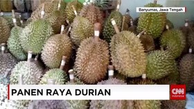 Desa Alas Malang Dikenal Sebagai Sentra Durian