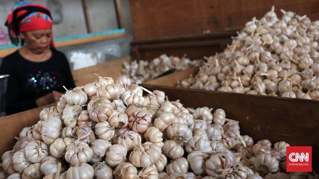 Harga Bawang Naik Hingga Rp550 per Kg