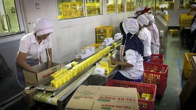 Apindo: Tambahan Cuti Bersama Lebaran Ganggu Kegiatan Usaha