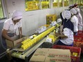 Racikan Jamu untuk Pertahanan Tubuh Kala Pandemi