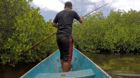 Perjuangan Membangun 'Benteng' Mangrove di Tongke-Tongke