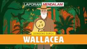 Dongeng Surga Wallacea