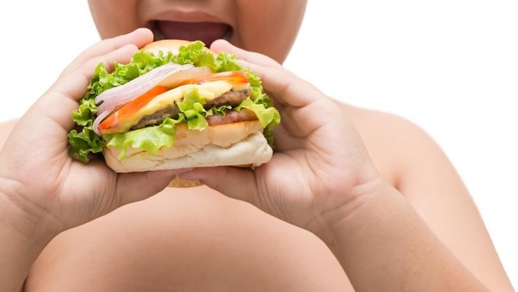 Pola Makan yang Dianjurkan untuk Anak yang Obesitas Saat anak usia sekolah mengalami obesitas, maka pola makan seperti ini yang dianjurkan.