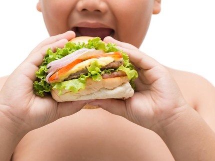 Pola Makan yang Dianjurkan untuk Anak yang Obesitas