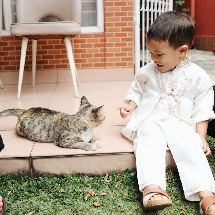 <p>Senangnya Rihga waktu main sama kucing (Foto: Instagram/rihga.sadiwasakti)</p>