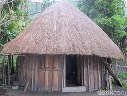 Rumah Honai: Asal-Usul, Proses Pembangunan hingga Arsitektur
