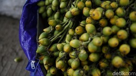Dari Mana Budaya Makan Pinang di Wamena?