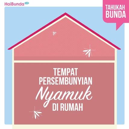 Detik Network