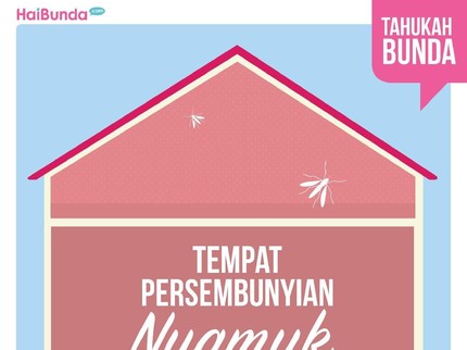 Nggak Disangka! Ini Area di Rumah yang Bisa Jadi Sarang Nyamuk