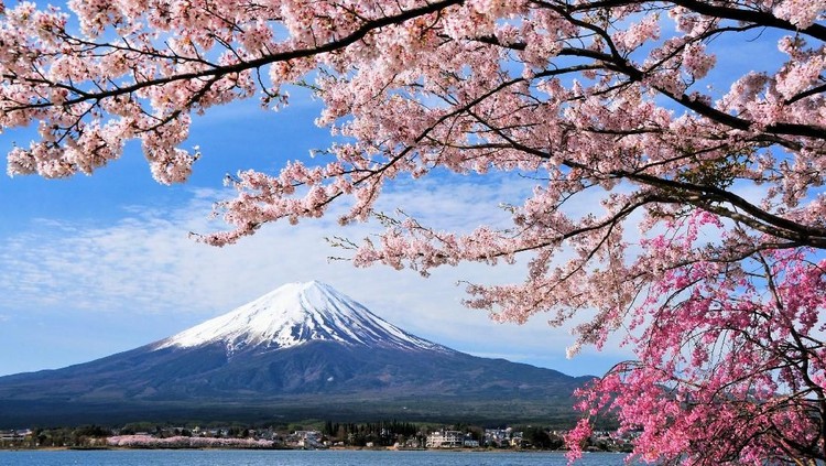 Liburan ke Jepang bisa jadi lebih irit dengan cara-cara ini, Bun.