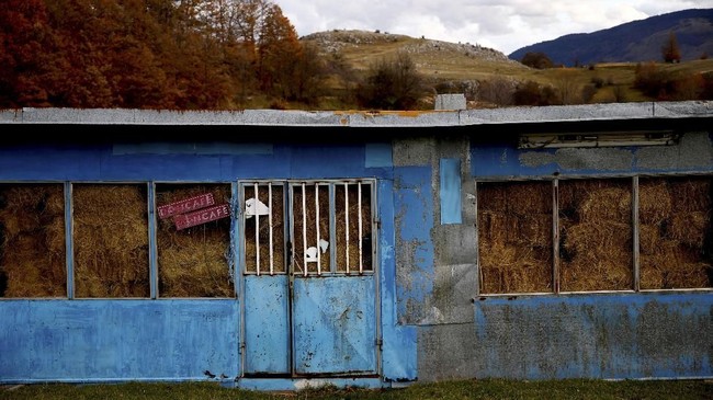 FOTO: Ratko Mladic 'Jagal Bosnia', Pahlawan di Desanya