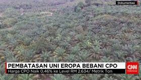 RI Desak Uni Eropa Cabut Pembatasan Impor Minyak Sawit Mentah