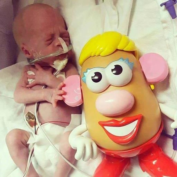 <p> Senang rasanya melihat si kecil terus tumbuh hingga ukurannya lebih besar dari boneka Mrs Potato. (Foto: Facebook/ PotatoHeadProject)</p>