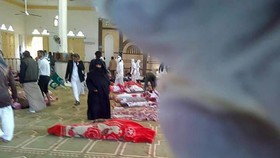 Pelaku Serangan Teror di Mesjid Sinai Bawa Bendera ISIS