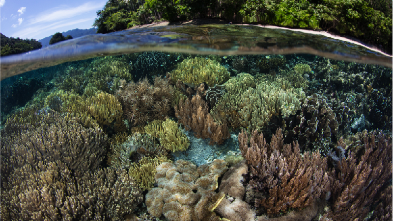 Pilihan untuk mengunjungi Taman Nasional Geopark di Indonesia semakin lengkap setelah lima destinasi baru Taman Nasional Geopark di Tanah Air.