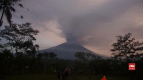 VIDEO: Lumpur Meluap Deras di Sungai Sekitar Gunung Agung