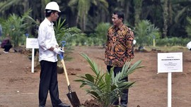 Pinjam KUR, Petani Sawit 'Gratis' Bayar Cicilan Lima Tahun